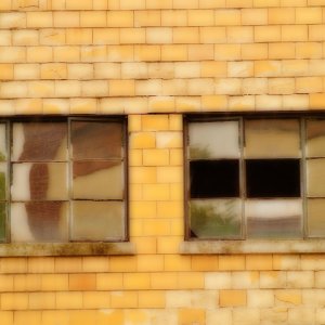 windows - 1.jpg
