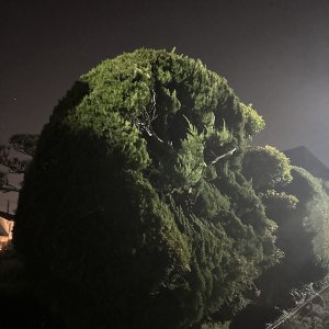 IMG_5290.jpeg