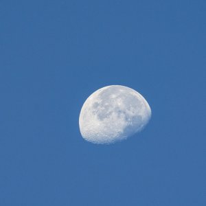Moon 2500px.jpg