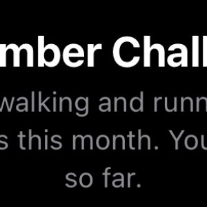 November Challenge.jpeg