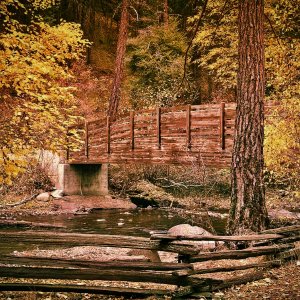 autumanbridge - 1.jpeg