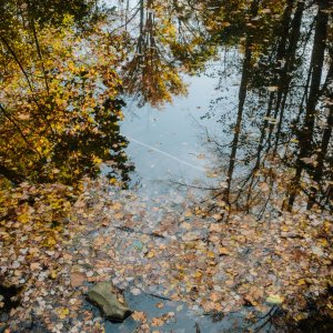Web_November_04_2023_005.jpg
