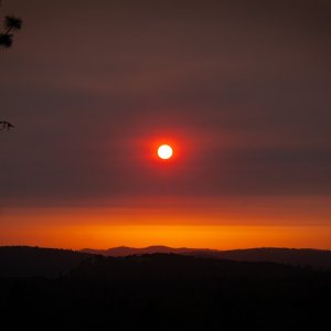 _MG_6059.jpg