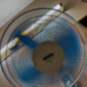 IMG_5057.jpeg