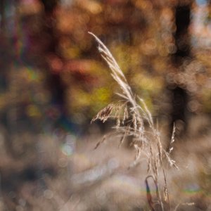 Web_November_08_2023_001.jpg