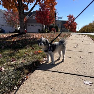 IMG_4188.jpeg