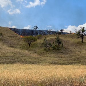 Tepequém.jpg
