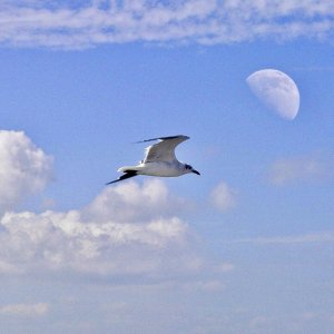 IMG_8299.jpg