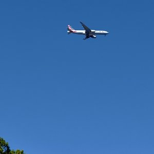 IMG_6793.jpg
