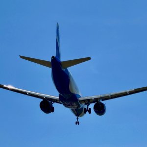 IMG_8199.jpeg