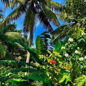 IMG_7640.jpeg