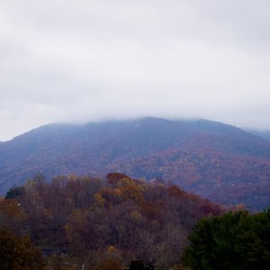 BB781388-CDF8-47EA-BCA6-5C77443E82E6.jpeg