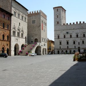 POTD  November  - 1.jpeg