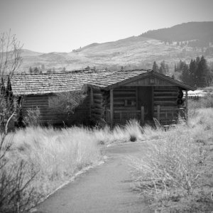 cabin - 1.jpeg