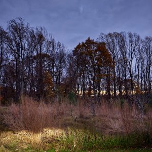 2023-11-11 ~ _R5_8380.jpg