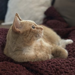 IMG_1101.JPG