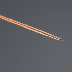 Seattle_IMG_1030.jpg