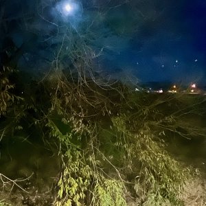 fullmoon - 1.jpeg