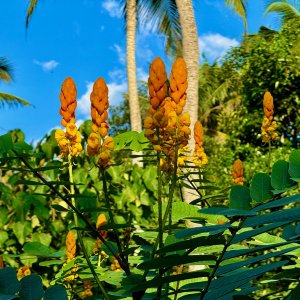 IMG_7686.jpeg