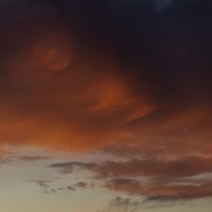 IMG_2347.jpg