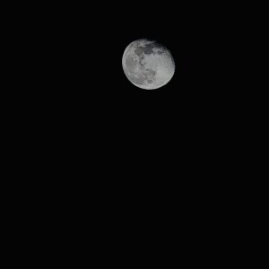 IMG_1181.jpeg
