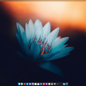 Screenshot 2023-12-01 at 22.29.15.png