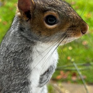 IMG_0610.jpeg