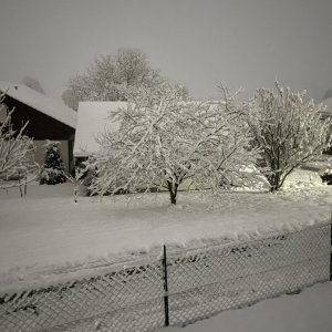 IMG_0954.jpeg