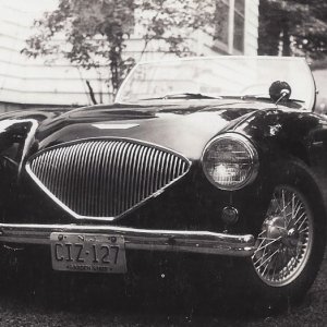 1956 Austin Healy.jpg