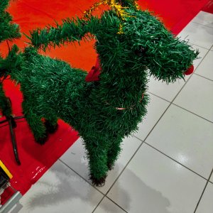 IMG_7819.jpeg