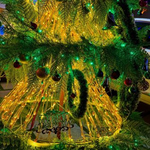 IMG_8312.jpeg