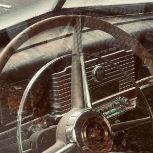 IMG_2344.jpeg