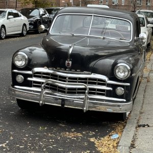 IMG_2341.jpeg