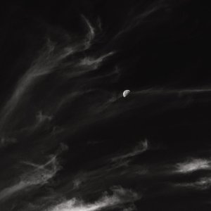 IMG_4223.jpeg