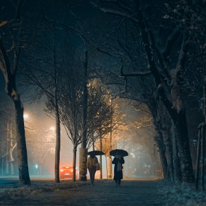 A7408625-2.jpg