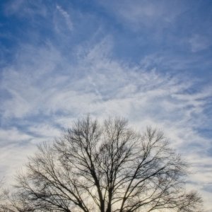 PB230961.jpg