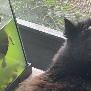1702407035473.jpeg