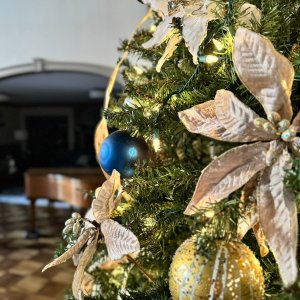 IMG_1306.jpeg