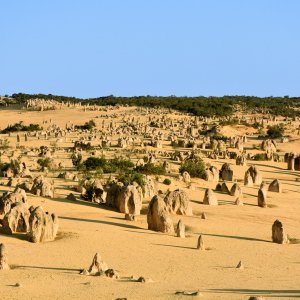 Pinnacles Desert.jpg