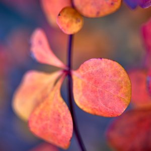 2023-12-14 ~ _R5_5284.jpg