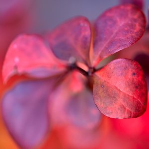 2023-12-14 ~ _R5_5296.jpg