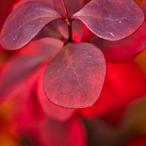 2023-12-14 ~ _R5_5311.jpg