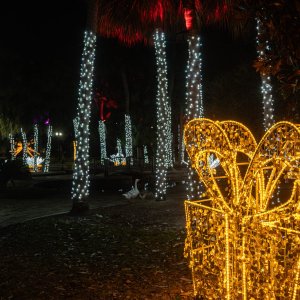 Lake Eola 2023 - 2500px-2.jpg