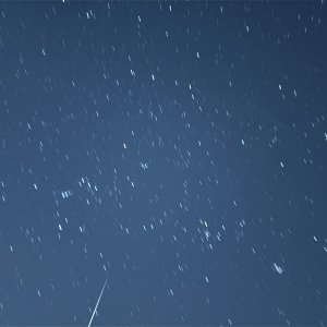 IMG_6742.jpeg