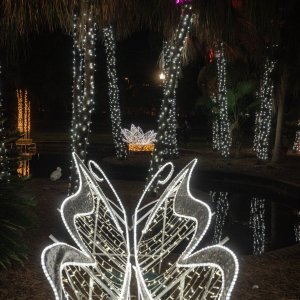 Lake Eola 2023 - 2500px-5.jpg