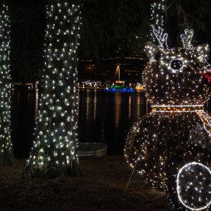 Lake Eola 2023 - 2500px-9.jpg