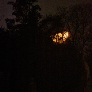 2023-12-19 ~ _R5_7430.jpg