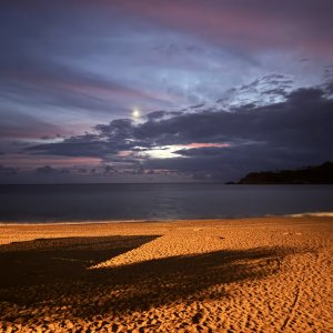 IMG_0247.jpeg