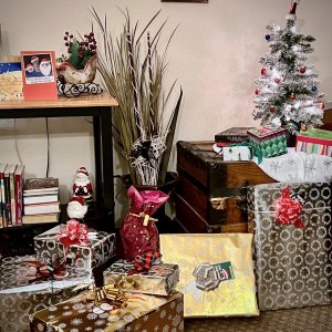 christmasday - 1.jpeg