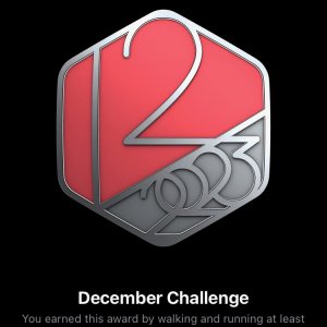 Dec2023Challenge-Completed.jpeg